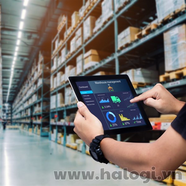Quản lý kho bãi và tồn kho trong logistics – cách tối ưu hiệu suất và giảm chi phí