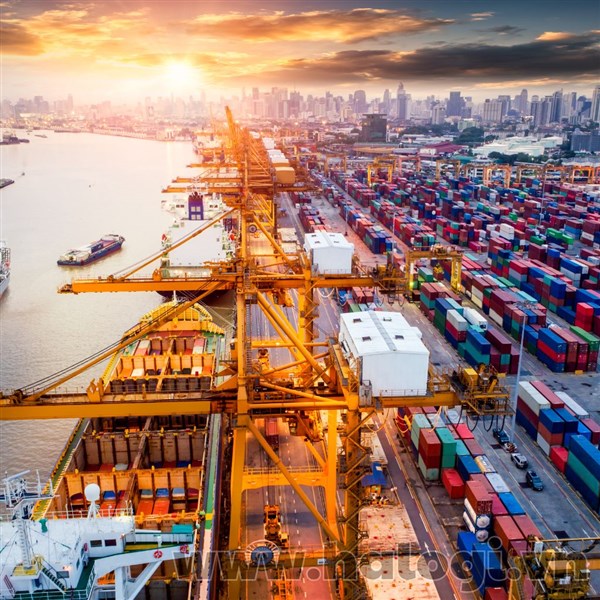 Tổng quan về logistics và chuỗi cung ứng – kiến thức cơ bản cho người mới