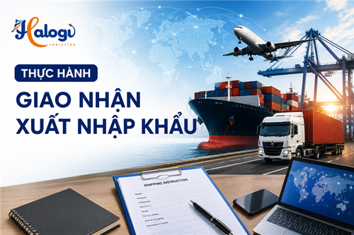 Thực hành giao nhận xuất nhập khẩu cùng HALOGI – Hiểu quy trình, làm đúng nghiệp vụ