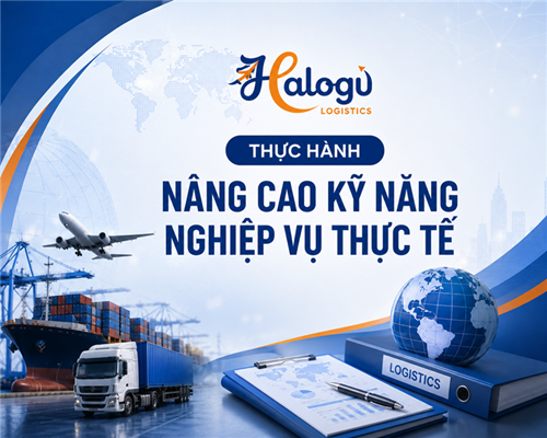 Thực hành xử lý tình huống khai hải quan cùng HALOGI – Nâng cao kỹ năng nghiệp vụ thực tế